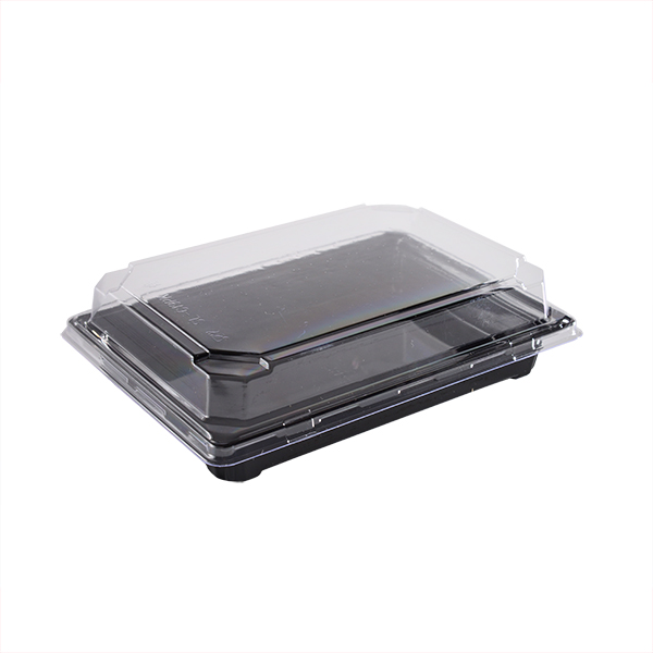 s Пластиковые контейнеры SL-C19 (C-19К+Д)(594компл/уп)